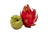 tinywow_remove_bg_2905932