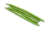 tinywow_remove_bg_2905948