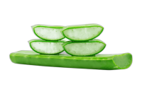 tinywow_remove_bg_2906075