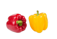 tinywow_remove_bg_2906366
