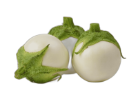 tinywow_remove_bg_2906388