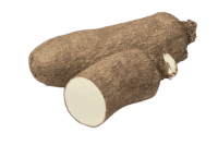 tinywow_remove_bg_2906406